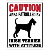 Irländsk terrier