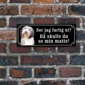 Bearded Collie