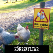 Hönsskyltar & andra fjäderfä