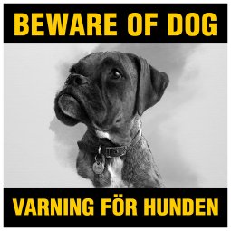 boxer beware of dog skylt
varning för hunden