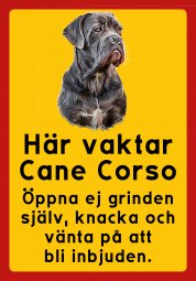 Här vaktar Cane Corso gå inte in utan inbjudan knacka grinden lycka till vakthund varning för hunden