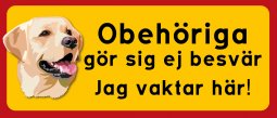 skylt gul labrador