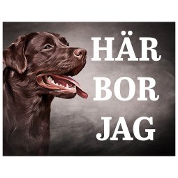 här bor jag skylt varning för hunden brun
labrador labbe labbeskylt fin skylt labrador present till labrador älskare