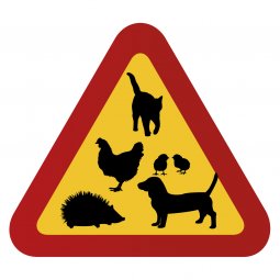 Igelkott, tax, höns och katt varningsskylt igelkott P927292 igelkottar varning för igelkott