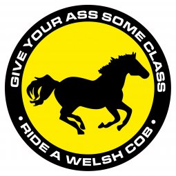 Give your ass some class - Ride a welsh cob - Rund dekal eller skylt