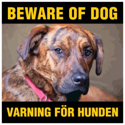 Plott beware of dog skylt
varning för hunden