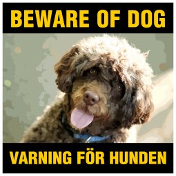 Portugisisk vattenhund beware of dog skylt varning för hunden