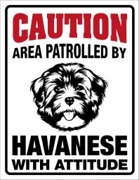 Caution, area patrolled by Havanese with attitude skylt här vaktar jag caution varning hund attityd attitude