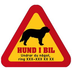 hunddekal dekal med hund och telefonnummer mobilnummer klistermärke Berner Sennen Sankt Bernhardshund st bernard