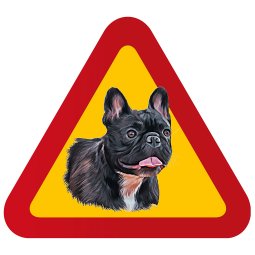 Fransk Bulldog Fralla Porträtt hund fin skylt varning för hunden mörk svart brindle