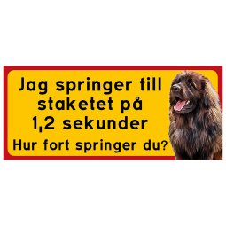 Leonberger Jag springer till staketet Varning för hunden inga tjuvar kom in på egen risk