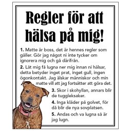 regler för att hälsa på mig american staffordshire bullterrier terrier amstaff hund