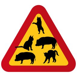 varningsskylt varningstriangel gris grisar katt lekande katter galna katt busiga