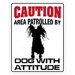 Russkiy Toy eller Prazsky Krysarik skylt varning för hunden Russkiy Toy skylt här vaktar jag caution varning hund attityd attitu