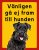 Dvärgschnauzer hundskyltar - stående