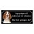 Welsh springer spaniel, hundskylt, skylt hund