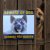 skylt varning för hunden akita
