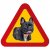 Fransk Bulldog Fralla Porträtt hund fin skylt varning för hunden mörk svart brindle