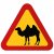 varningsskylt varning för kamel