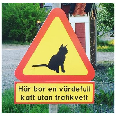 Katt