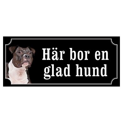 Amstaff / pitbull rödsvart/vit "gammaldags stil"