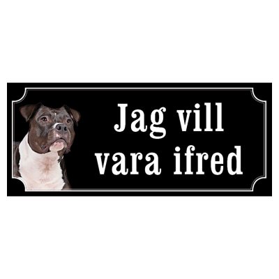Amstaff / pitbull rödsvart/vit "gammaldags stil"