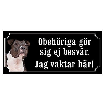 Amstaff / pitbull rödsvart/vit "gammaldags stil"