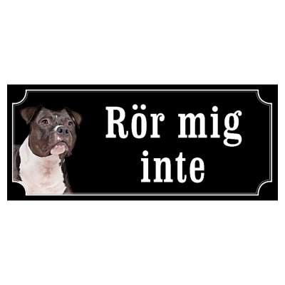 Amstaff / pitbull rödsvart/vit "gammaldags stil"