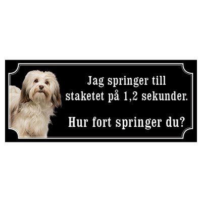 Bichon havanais hundskylt gammaldags stil emaljskylt hund