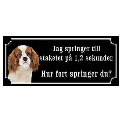 Cavalier charles brun/vit hundskylt gammaldags stil emaljskylt hund