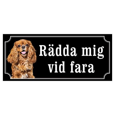 Cavalier charles ljusbrun hundskylt gammaldags stil emaljskylt hund