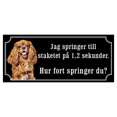 Cavalier charles ljusbrun hundskylt gammaldags stil emaljskylt hund