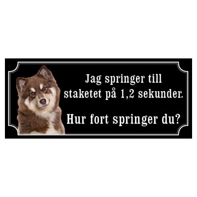 Finsk lapphund brun/vit gammaldags stil emaljskylt hund