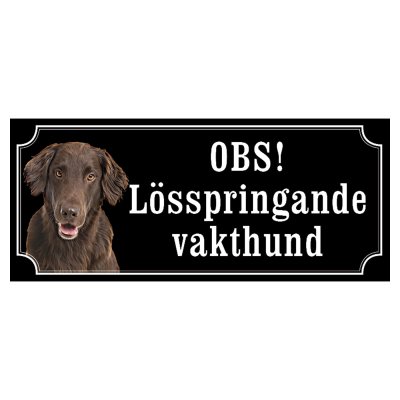 Flatcoated retriever brun "gammaldags stil"
