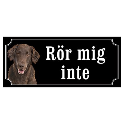 Flatcoated retriever brun "gammaldags stil"