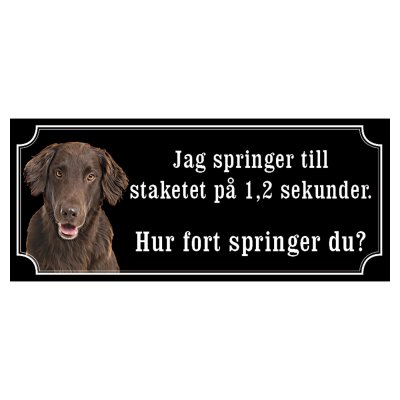 Flatcoated retriever brun "gammaldags stil"