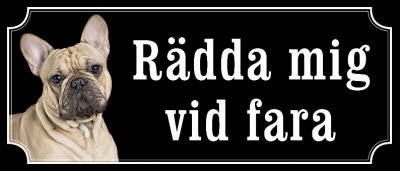 Fransk bulldogg beige gammaldags stil emaljskylt hund