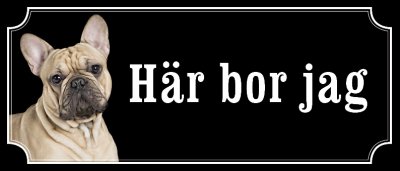 Fransk bulldogg beige gammaldags stil emaljskylt hund