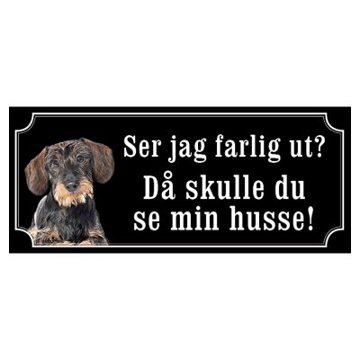 Tax svartbrun strävhårig "gammaldags stil"