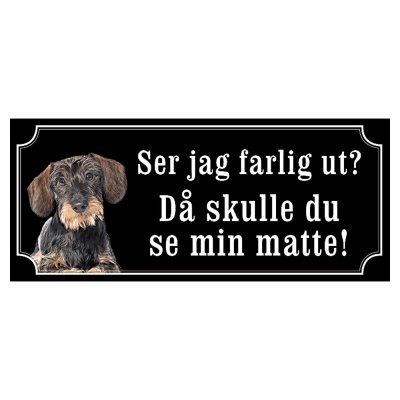 Tax svartbrun strävhårig "gammaldags stil"