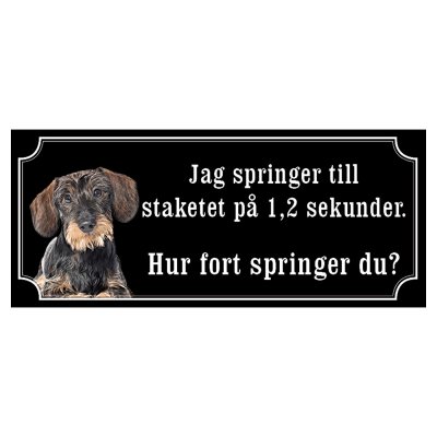 Tax svartbrun strävhårig "gammaldags stil"