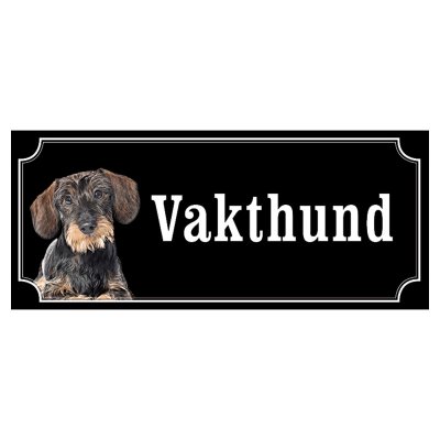 Tax svartbrun strävhårig "gammaldags stil"