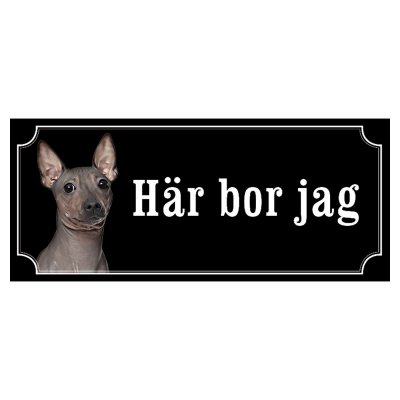 American hairless terrier hundskylt gammaldags stil emaljskylt hund här bor jag