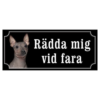American hairless terrier hundskylt gammaldags stil emaljskylt hund