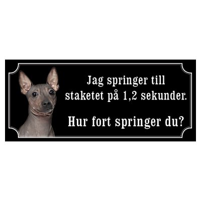 American hairless terrier hundskylt gammaldags stil emaljskylt hund