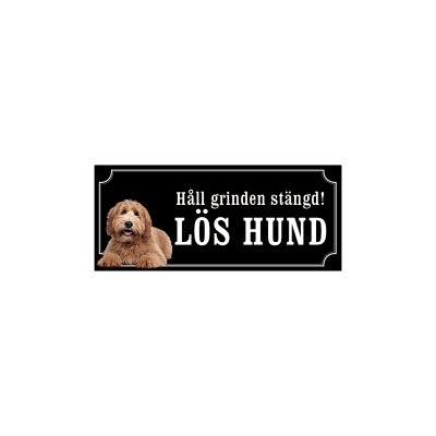 labradoodle ljusbrun
