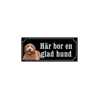 labradoodle ljusbrun