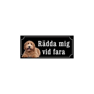 labradoodle ljusbrun