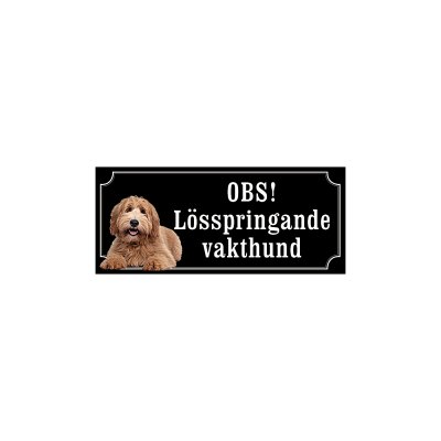 labradoodle ljusbrun