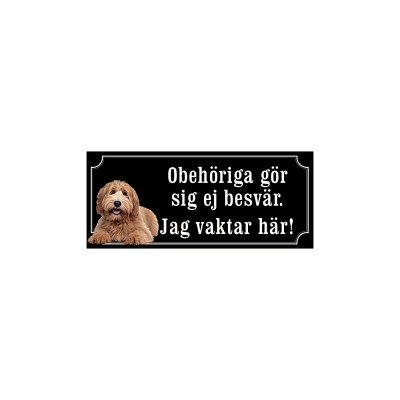 labradoodle ljusbrun